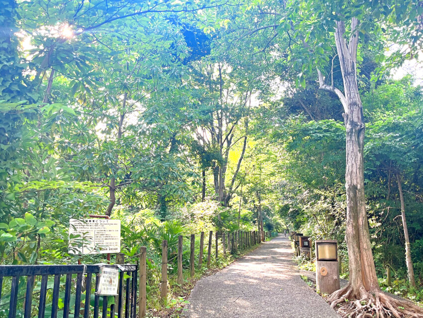 文京区千石２丁目戸建（15）