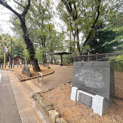 特別な空間で叶える、唯一無二の暮らし（7）