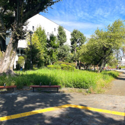 特別な空間で叶える、唯一無二の暮らし（17）