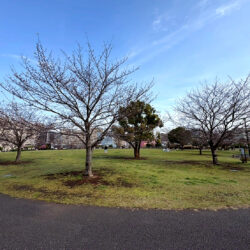 特別な空間で叶える、唯一無二の暮らし（4）