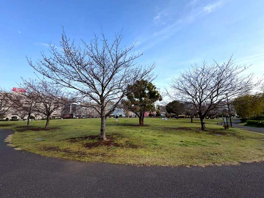 大田区東糀谷4丁目戸建（4）