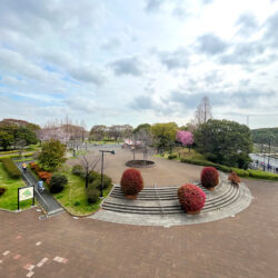 特別な空間で叶える、唯一無二の暮らし（6）