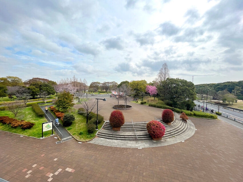 草加市遊馬町戸建（6）