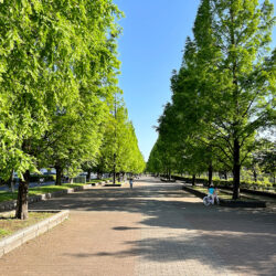 特別な空間で叶える、唯一無二の暮らし（7）