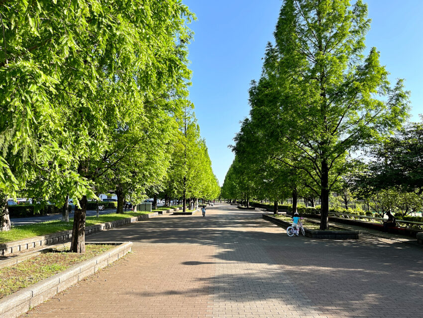 草加市遊馬町戸建（7）