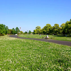特別な空間で叶える、唯一無二の暮らし（8）