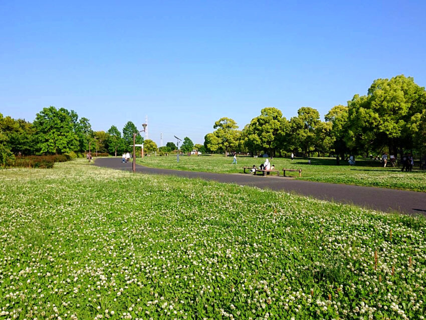 草加市遊馬町戸建（8）